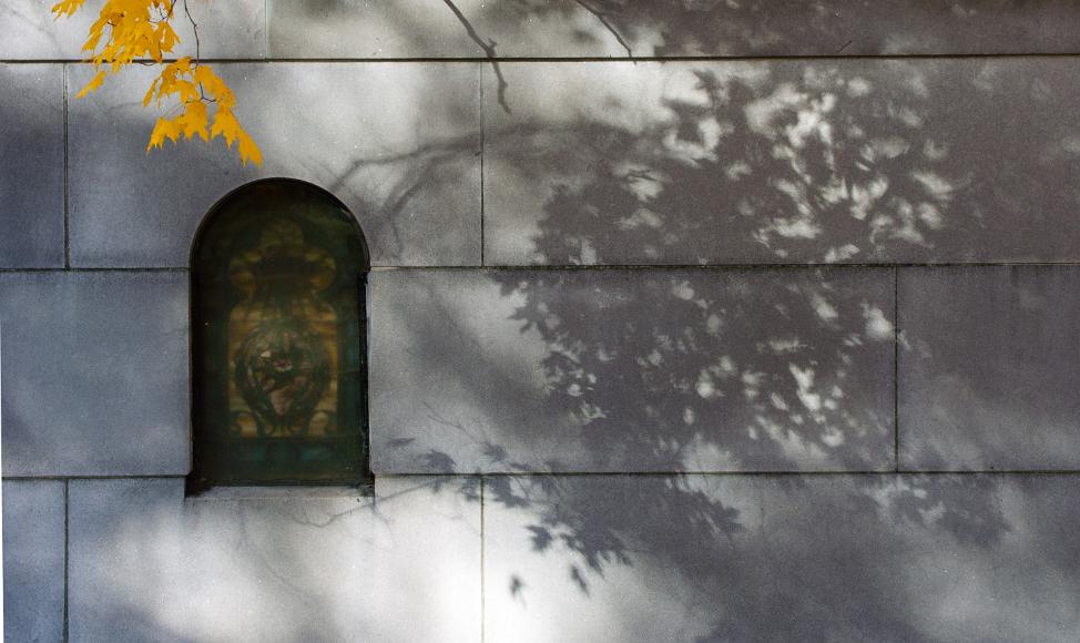 Mausoleum, Mt. Auburn Cemetary, Boston, Massachusetts bright yellow maple leaves in fall regalia lie over a faded and yellowed stained glass window on the side of a mausoleum in Mt Auburn Cemetary
