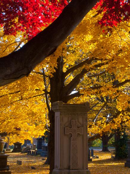 Mt Auburn Cemetary Boston MA