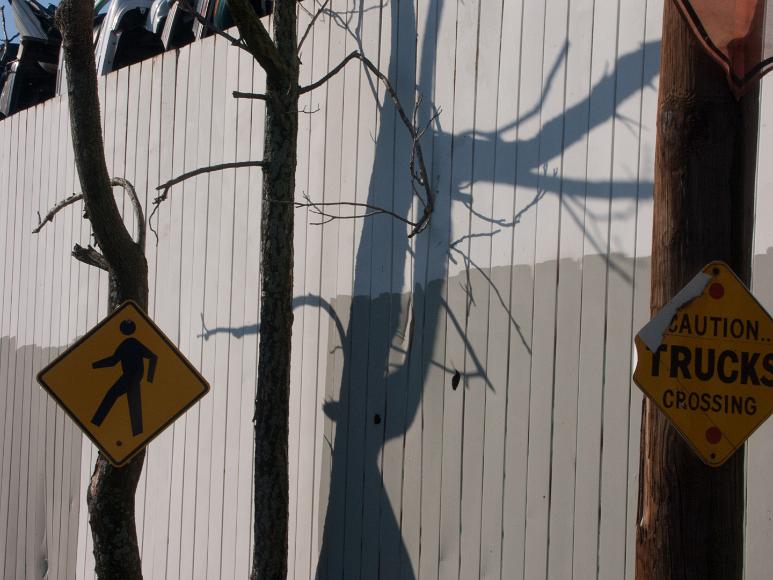Carhenge behind a fence shadows and signs Somerville MA Signs on trees and poles in front of a fence with crushed cars just barely visible and vertical behind it