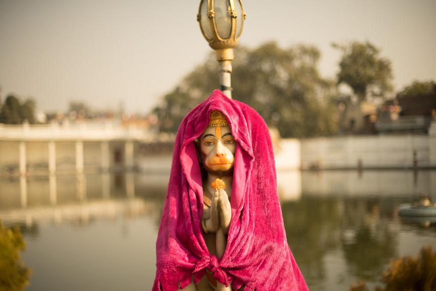 Hanuman shrouded in pink purple fleece A statue of Hanuman the Monkey god holding a marigold flower and draped in a pink and purple polyster fleece shroud, in front of a water pool in Amritsar India