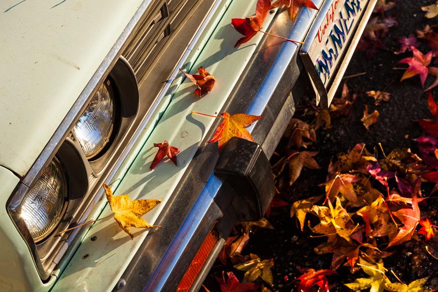 Honda on 31st st in late fall Oakland red maple leaves fall in december onto a early 1980s honda accord