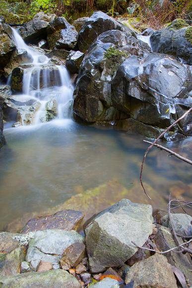 Redwood Regional Park Waterfall Oakland water flowing into a pond in a misty wet forest