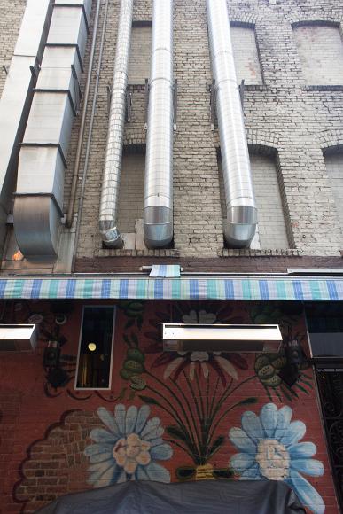 Flowers and pipes in Chinatown Silver pipes run up a brick building in chinatown that is painted with a flower mural on its lowest floor above a small striped awning and plastic covering what...
