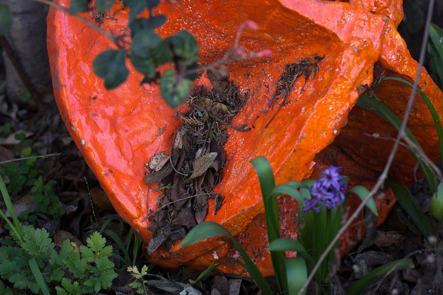 Small Orange-ish tableau orange painted thing and small plants and purple flowers