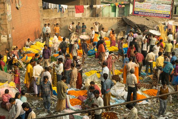 India 2015