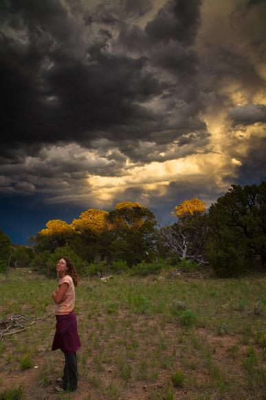 Ginger in a clearing under stormy skies