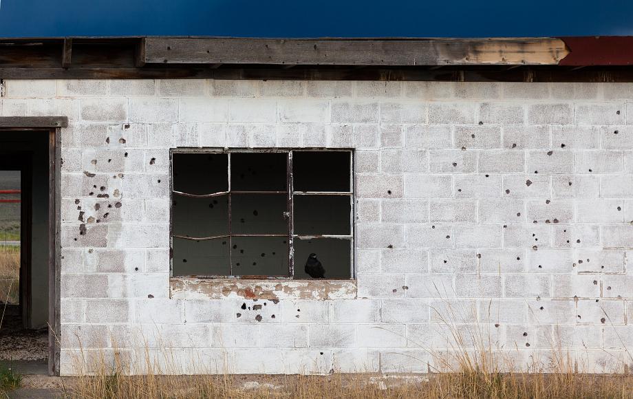 Old concrete shack detail with crow and bullet holes