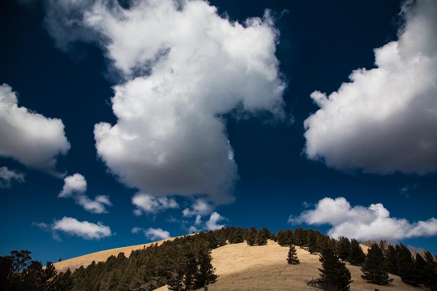 Fluffy clouds above a forested New Mexico peak