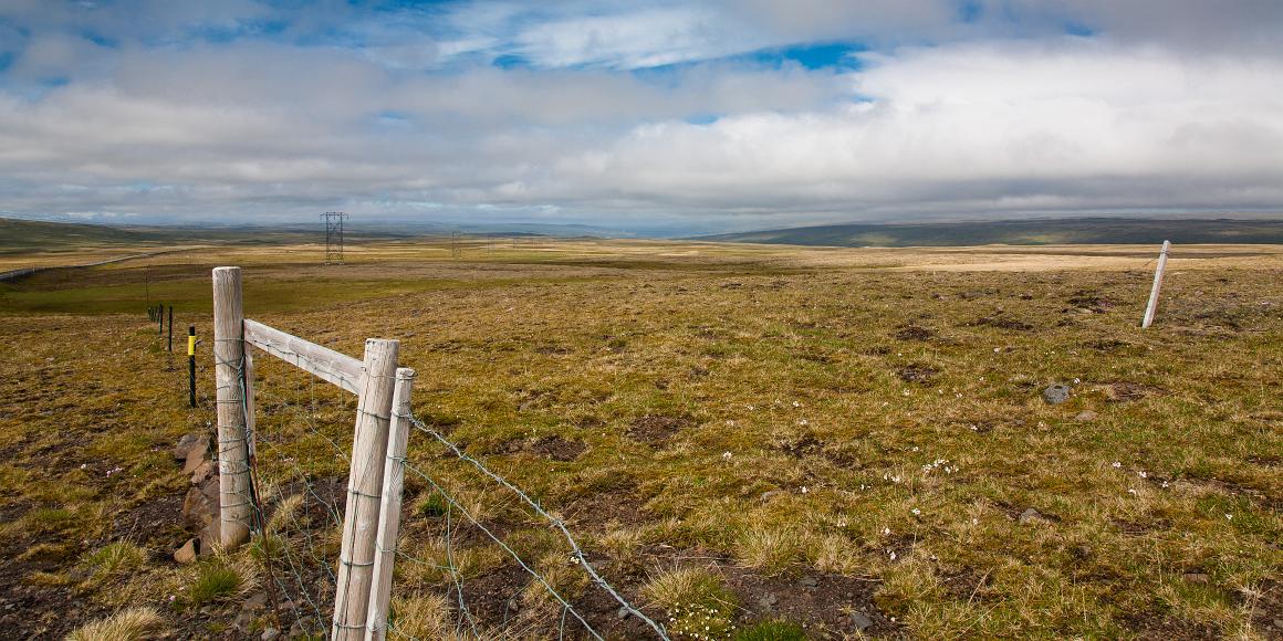 Fences and Fields in Iceland Fences and closely cropped somewhat barren grazing lands in northwestern Iceland