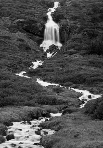 Waterfall in Northeast Iceland Black and white image of water tumbling down a cliff with grass, rocks and small trees surrounding it