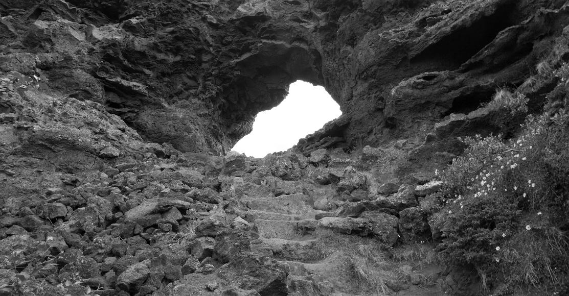 Volcanic lava tube and small flowers northern Iceland