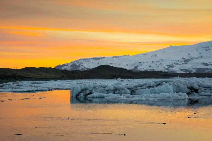 Sevem Seals seven seals swim below ice and birds on ice in Jokulsarlon pond after sunset with an orange and pink sky reflected upon the water