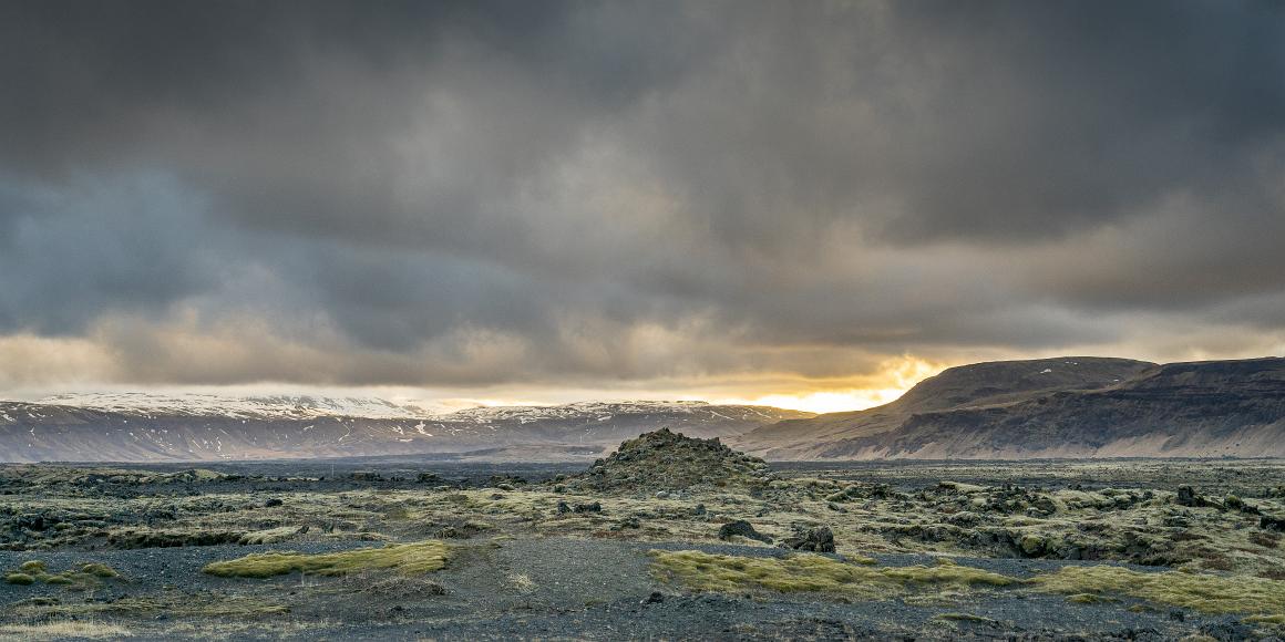 Lava field and light dramatic sunset light illuminates far off snow-capped mountains while heather green and straw yellow moss covers a bumpy lava field in the foreground