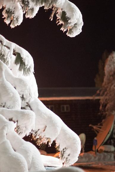Artificially lit snow and a satellite dish bright white snow of a pine tree with a brown shingled house in the background that has a satellite dish pointed toward the sky in South Lake Tahoe California