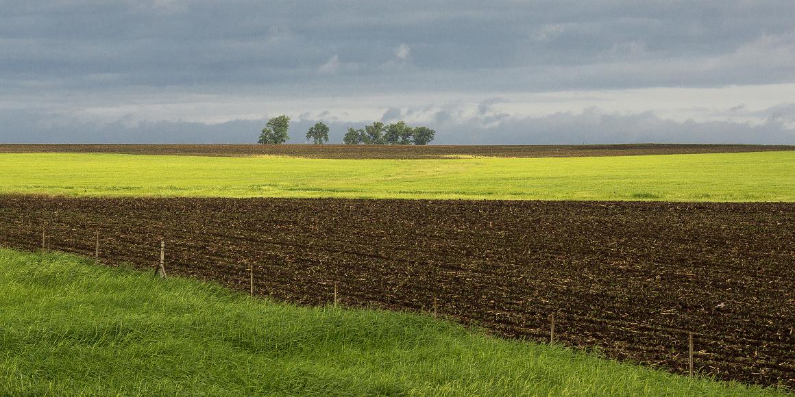 A wet Spring in Iowa Very dark moist earth and ultra green fields in Iowa
