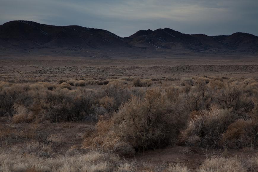 Nevada scrub in wintertime Brown dead looking shrubs fill the foreground with snow barely clinging to mostly bare mountains under a flat cloudy sky