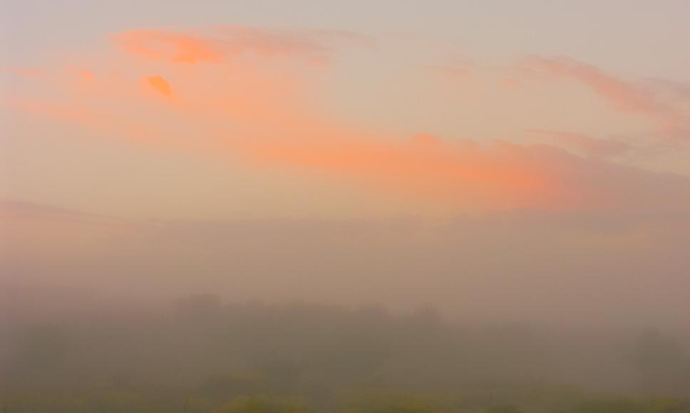 Colorful clouds at sunrise at Shona Sol, Cerrillos, New Mexico Orange clouds, bright but barely visible, can be seen above a mesa and green bushes and flowers mostly hidden by fog