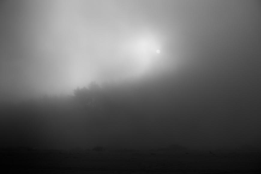 _DSC1889