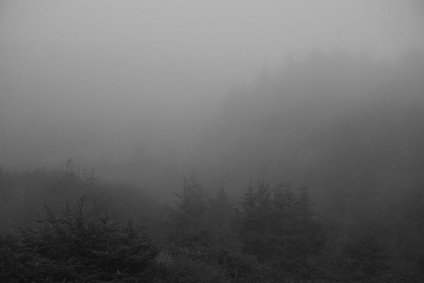 _DSC2538