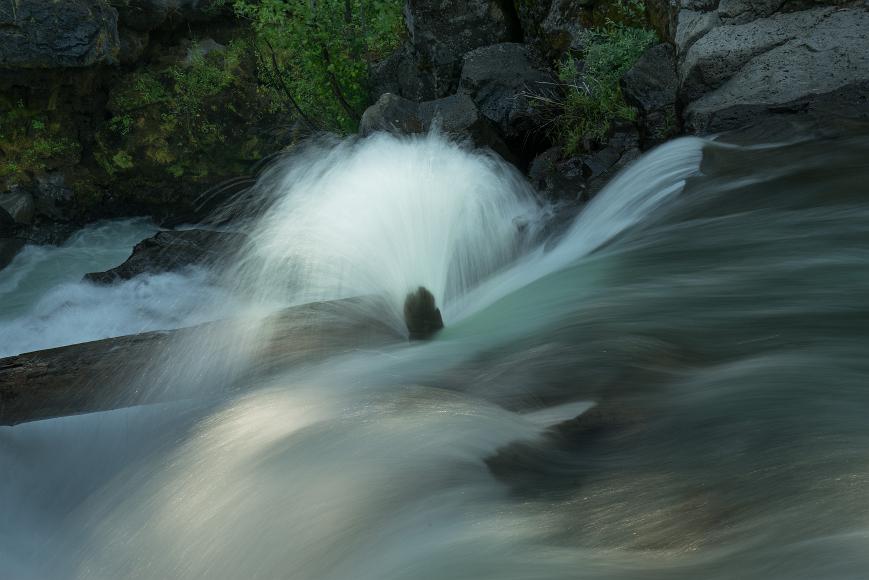 _DSC2291