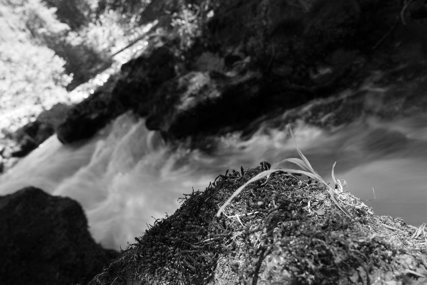 _DSC2591