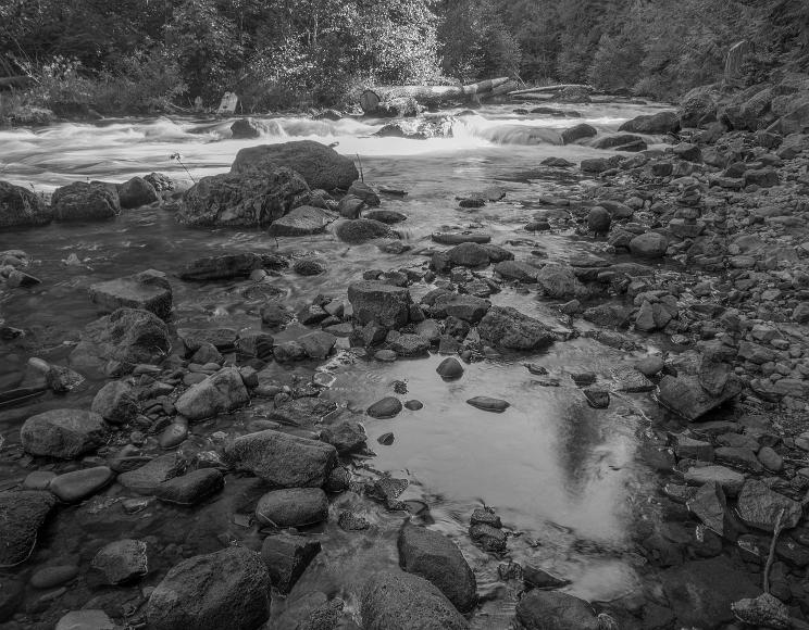 _DSC2844
