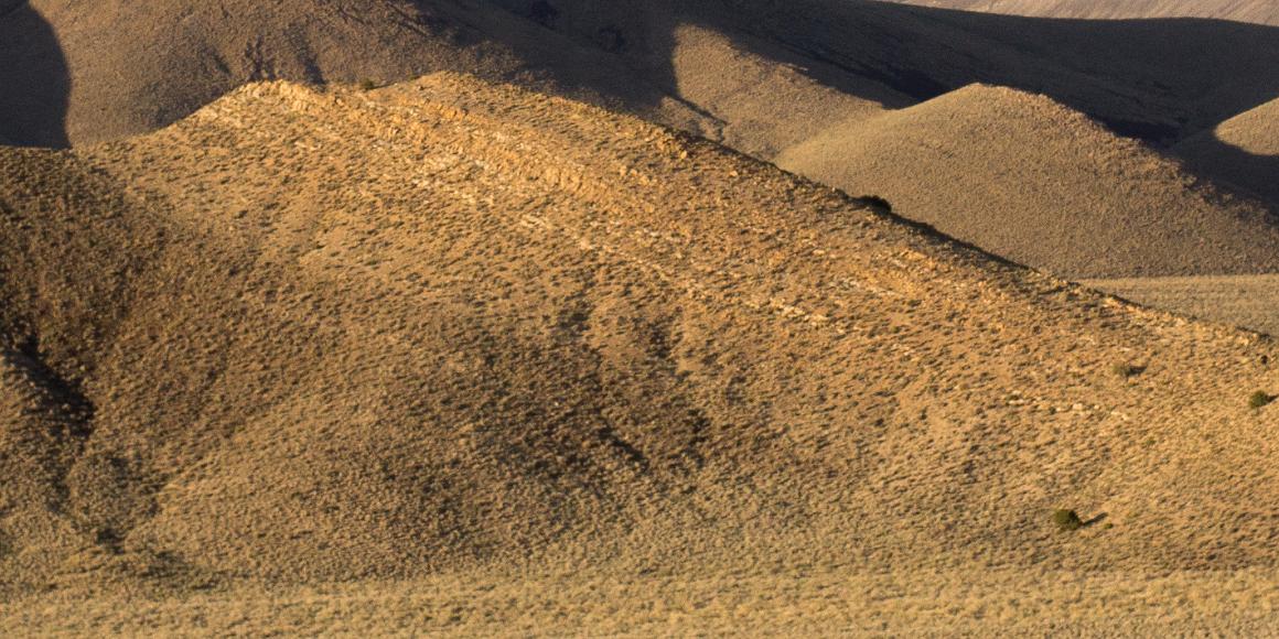 Bald beige hills near Death Valley Folded and eroded hills with just a few ponderosa pines just north of Death Valley