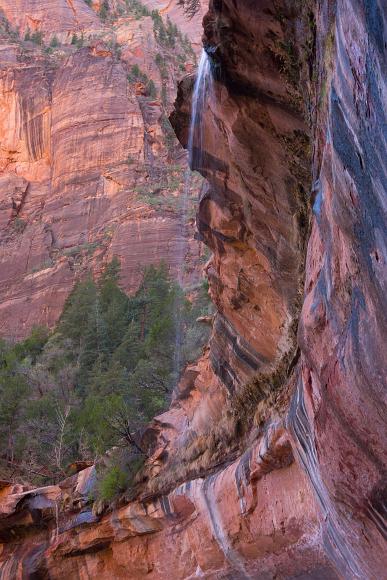 Waterfall in Zion National Park waterfall over red rock and pine trees in zion national park