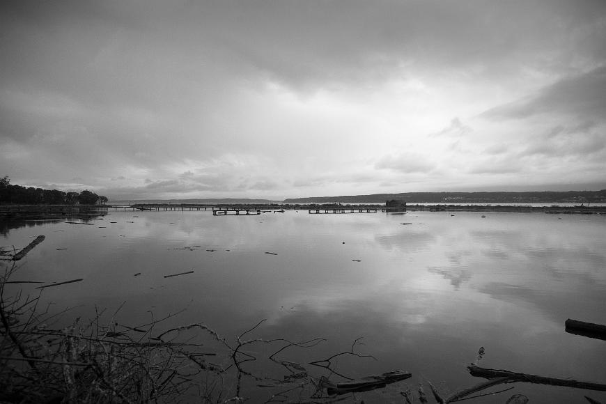 Tidal flats filled with water at high tide on Whidby Island Washington
