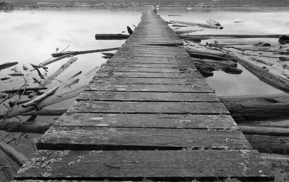 Twisted path leading across the water on Whidby Island Washington An uneven path made from wood planks leads over a tidal flat filled with water and strewn with logs at high tide, off into the distance