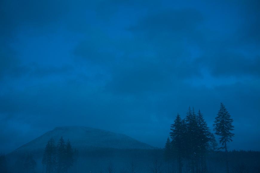 _MG_7913 (2)