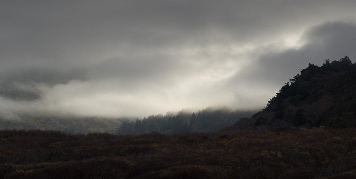 Sun and fog near petrolia on the lost coast Bushes without leaves and trees on hills fade away into early monring fog