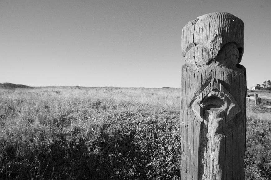 A carved wood post on the coast near the town of mendocino Wooden stump with a face carved into it in the foreground with oceanfront grasses and a single building and two trees and a fence visible to the extreme right...