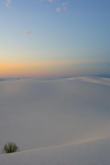 White Sands 2012 04 Yucca plant and white gysum sand dunes under a cloud dappled sky in White Sands National Monument in New Mexico