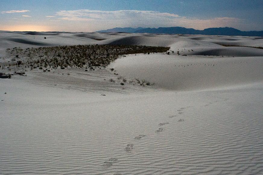 White Sands 2012 05 Footsteps in white gypsum san dunes iwth plants visible in the distance at night with mountains in the background in White Sands National Monument in New Mexico
