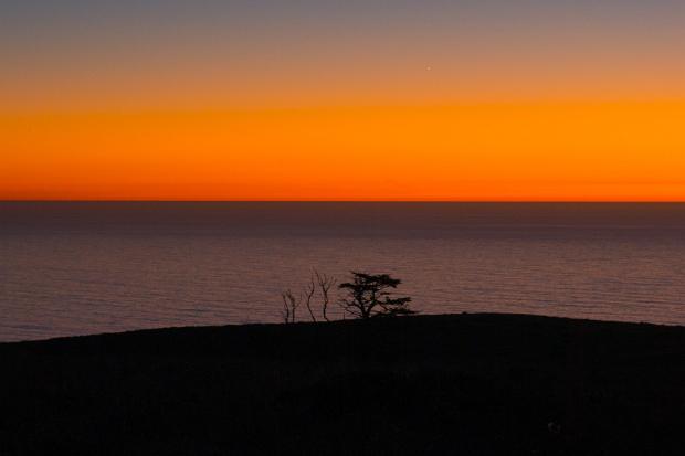California
