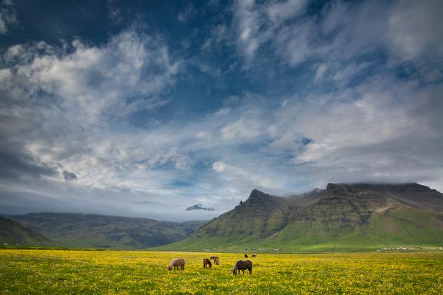 Iceland 2007
