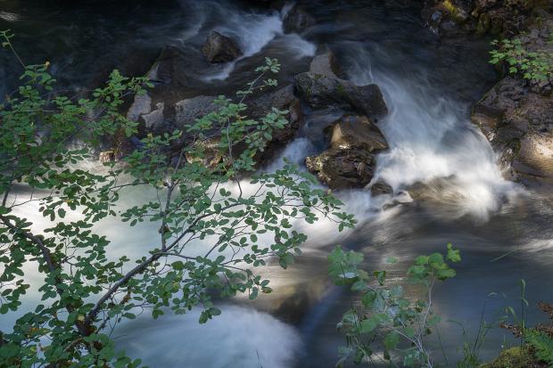 Rogue River OR