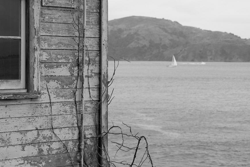 Abandoned building at Alcatraz Old building with peeling paint and dead vines fills half the frame, while Angel Island and the San Francisco Bay with one sailboat on it fill the other half