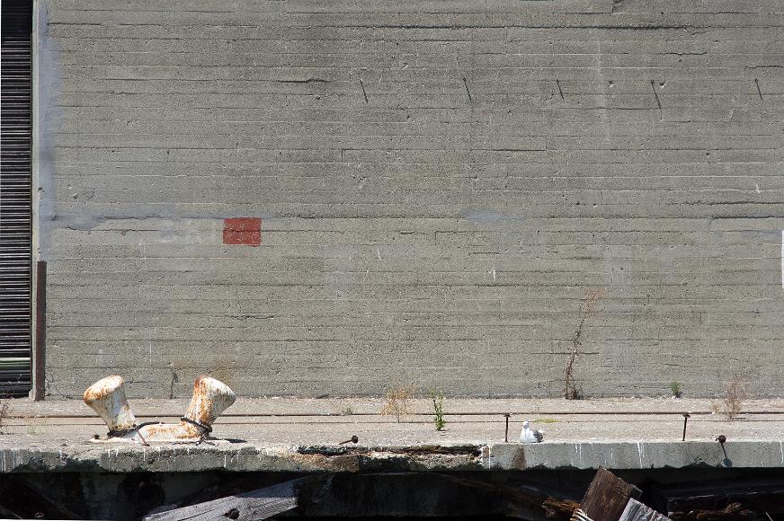 San Francisco Pier Detail #12 pier with concrete wall and corrugated metal door with crumbling dock below